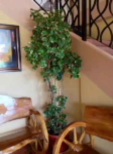 パングラオ アイランド フランゼン レジデンセズ