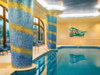 上海迪士尼乐园酒店 - 室内游泳池