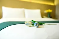 Century Star Holiday Hotel (The Ancient City of Shangqiu Nanjing Road) Hotels in The Ancient City of Shangqiu