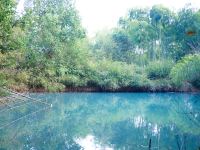 莫干山居有竹溪畔美宿 - 室外游泳池