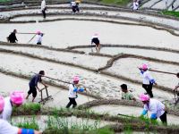 龙脊梯田遇见客栈 - 秋田阳台标准间