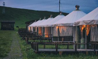 Color Bird Camping