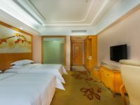 维纳斯国际酒店(上海浦东机场野生动物园店) - 豪华双床房