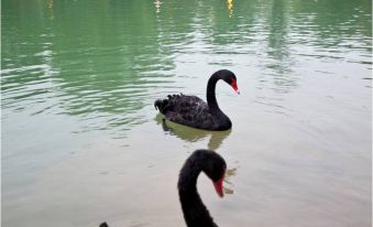 Jinji Lake Grand Hotel