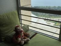 威海红朵朵酒店式公寓 - 其他