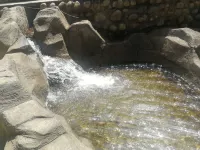 可可托海紅景大飯店