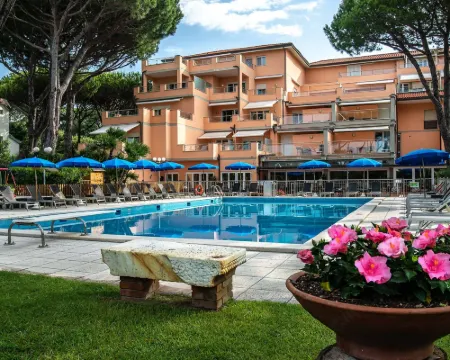 Versilia Palace Hotel Hotels in Pietrasanta