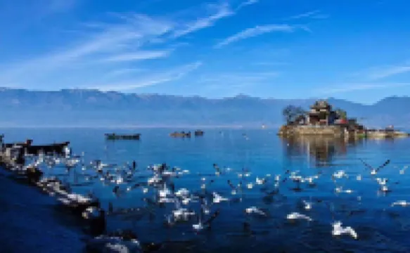 Tian Yu serviced apartment