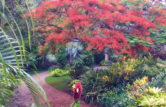 伊甸園休憩住宿加早餐旅館