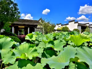 黄山譚家大院プレミアム民宿