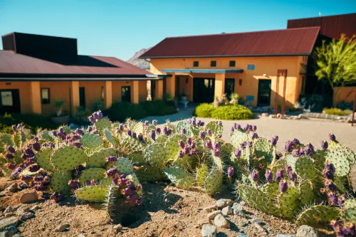 Sacred Sands Hotels in San Bernardino County