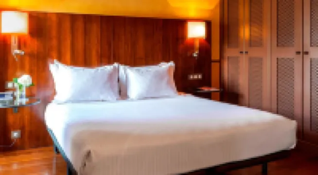 帕拉西奧德拉卡門酒店，傲途格精選