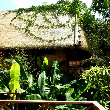 Mijing Wazhai Rice Field Manor
