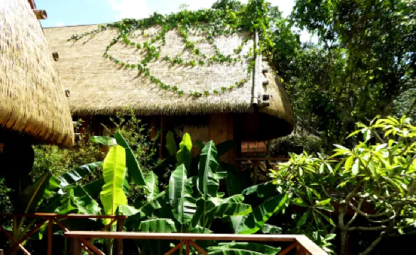 Mijing Wazhai Rice Field Manor