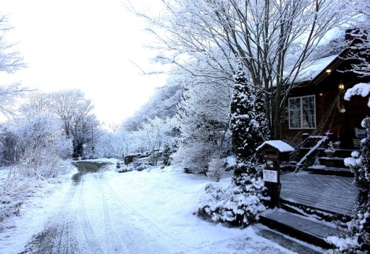 쿠스 쿠스 글램핑 객실