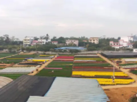 Nanning Yunxing Inn