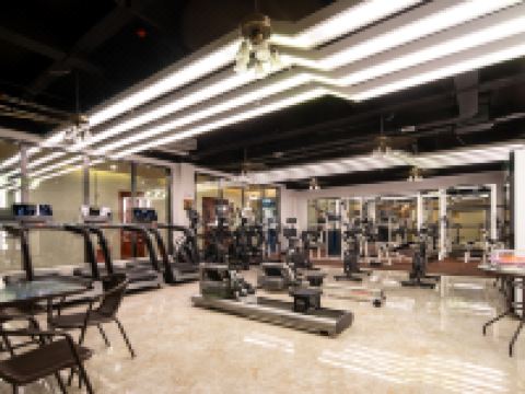 海丰龙丰运动主题酒店 - 健身房