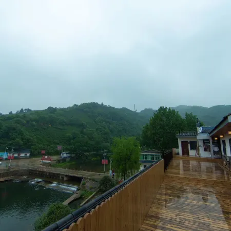 Xinyang Ziying Tea Manor
