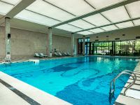 常州环球恐龙城维景国际大酒店 - 室内游泳池