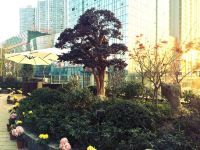 星程酒店(无锡太湖广场茂业店) - 花园