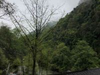 青城山雅山小院 - 酒店景观