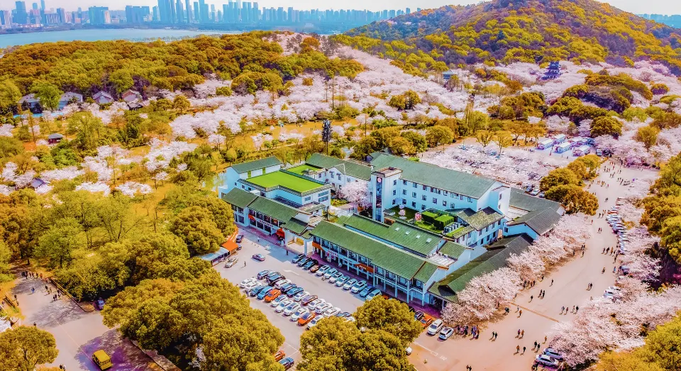 Wuxi Sakura Villa （Taihu Yuantouzhu Scenic Area）