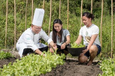 その他 クラブ パラダイス リゾート パラワンの写真
