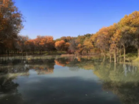 Metropolo Hotels(Zepu Fatong Street store)