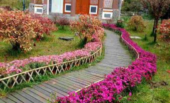 Baoxing Xinleyuan Homestay