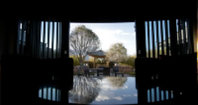 แซลลีส์ เชจู