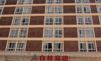 Wenxian Bailin Hotel VIP Building