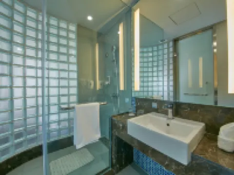 樂山廣場智選假日酒店（嘉興路美食街店） 樂山酒店