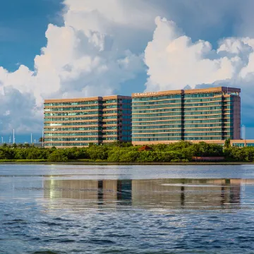 Grand Hyatt Tampa Bay Hotels near Rocky Point Golf