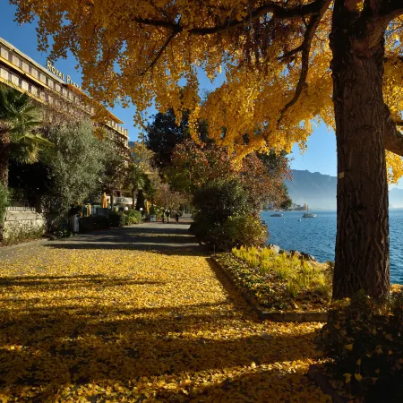 Royal Plaza Montreux Отели рядом с достопримечательностью «Mountain Studio»