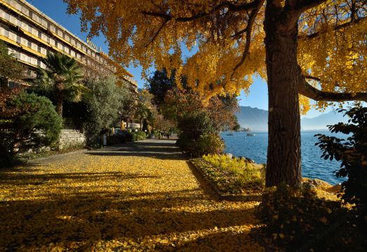 로열 플라자 몽트뢰 & 스파