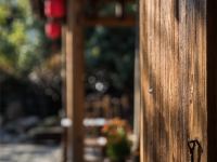 武夷山观景山房酒店 - 花园