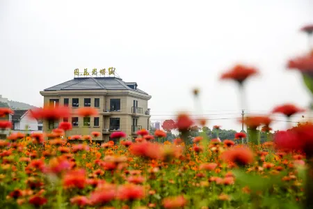 DaiShan ButtflyGarden Hotel Отели рядом с достопримечательностью «The Xiushan Island Scenic Area»