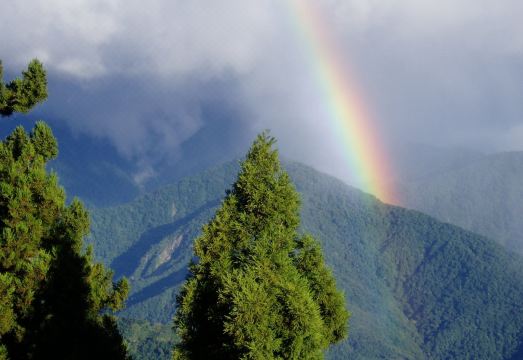 3. 리칭 가든 빌라..