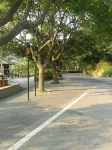 putuoshanwangekezhan