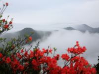 衡山风味山庄 - 酒店附近