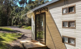 a modern wooden house with large windows , situated on a forested hillside near a dirt road at Zeehan Bush Camp