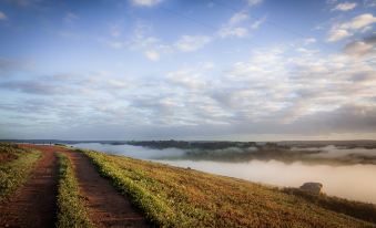 a dirt road winding through a grassy field , with a misty landscape in the background at Balingup Heights Hilltop Forest Cottages