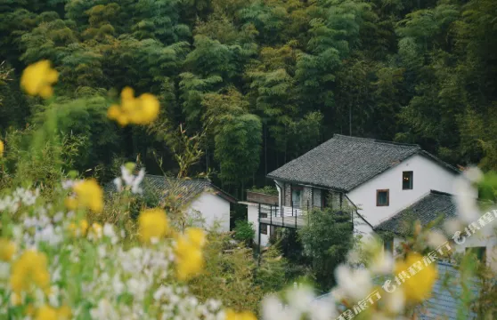 西坡莫幹山度假民宿