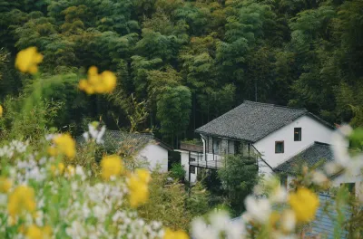 cipo Moganshan Holiday Home