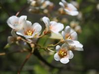 雁荡山茶田吾舍客栈 - 其他