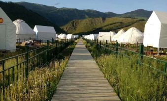 Kanas Birch Hotel - Housity