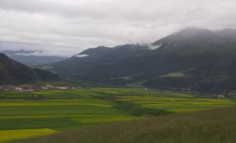 Qilian Xueyufang Farm