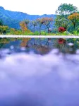 石台龍門人家民宿（牯牛降景區店） - 寵物友善