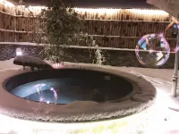 MOUNTAIN  VILLA - Hot Springs