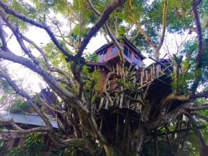 Pai Treehouse